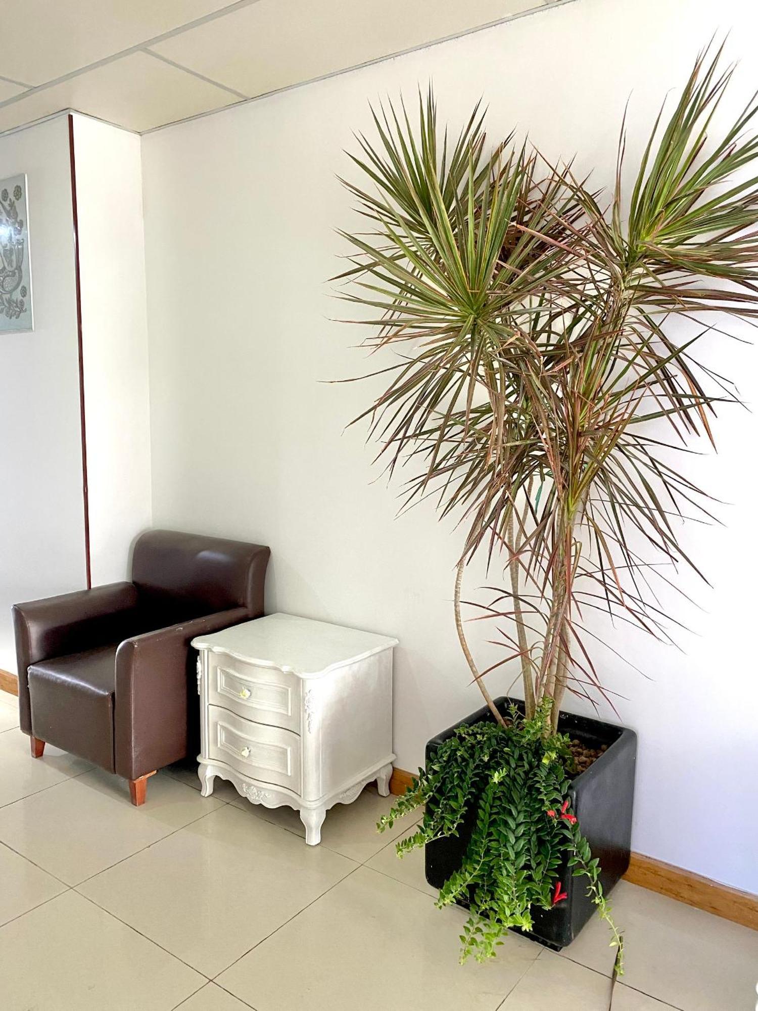 Zozo House - Homestay Bai Sau Vung Tau Exterior photo